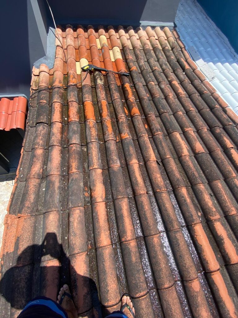 Limpeza e Pintura de telhado