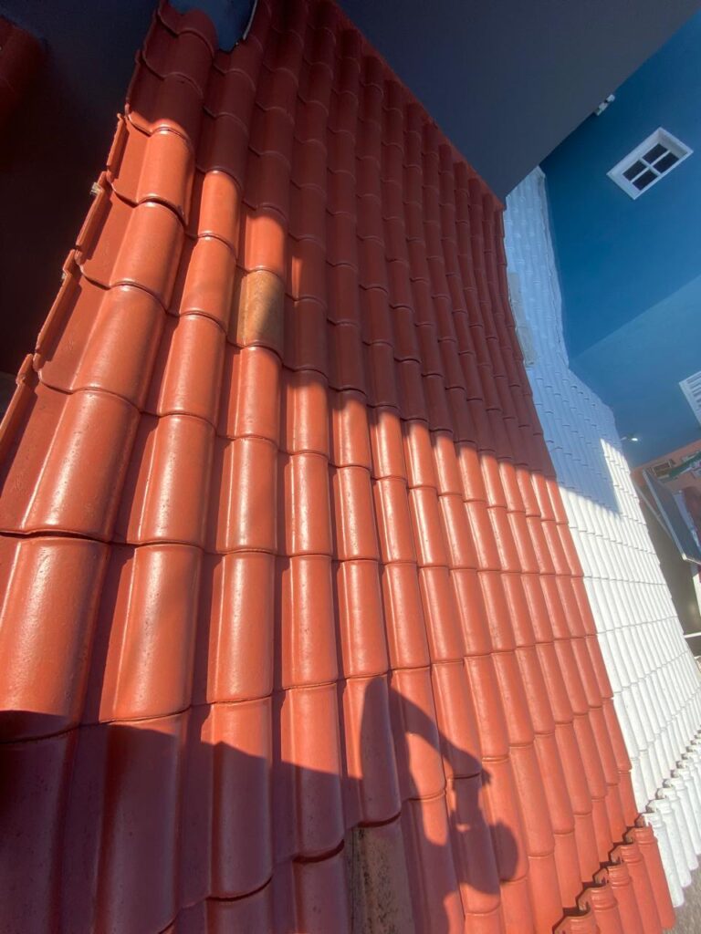 Limpeza e Pintura de telhado