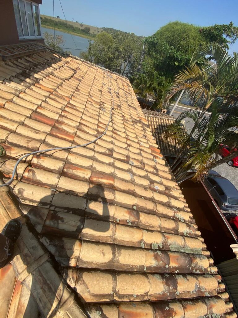 Limpeza e Pintura de Telhado