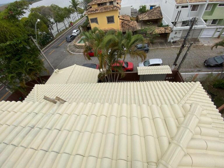 Limpeza e Pintura de Telhado